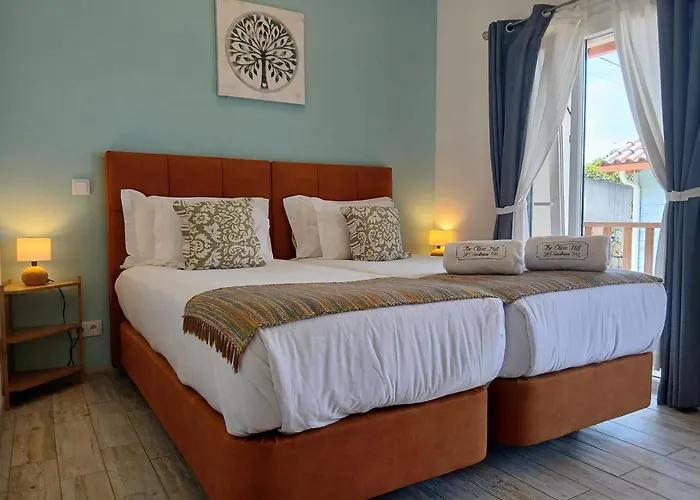 The Olive Hill Guesthouse